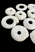Group of 11 Conus Currency Shells - Papua New Guinea 1
