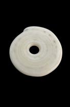 Group of 9 Conus Currency Shells - Papua New Guinea 3