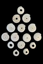 Group of 15 Conus Currency Shells - Papua New Guinea