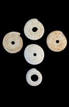 Group of 5 Conus Currency Shells - Papua New Guinea