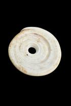 Group of 5 Conus Currency Shells - Papua New Guinea 2