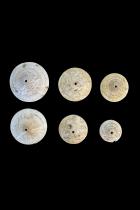 Group of 6 Conical Conus Currency Shells - Papua New Guinea