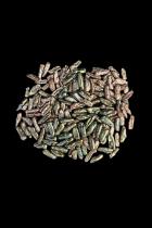 160 + Loose Drilled Biwa Pearls 1