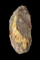Early Neolithic or Late Mesolithic Stone Axe - Caspian Culture, North Africa (Tunisia/Algeria) 1